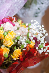 Similar image 5566130