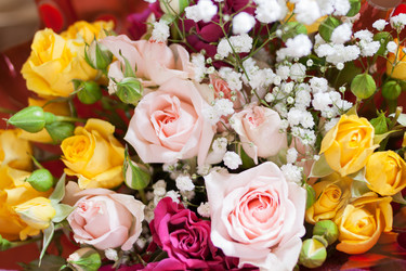 Similar image 5566147