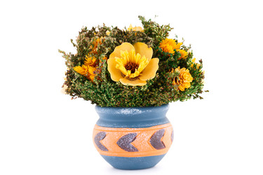 Similar image 5566155