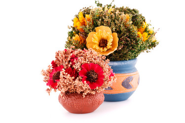 Similar image 5566156