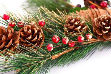 Similar image 5566173