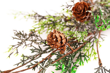 Similar image 5566176