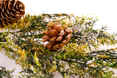 Similar image 5566188