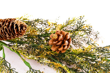 Similar image 5566189