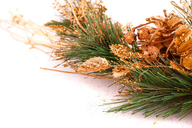 Similar image 5566200