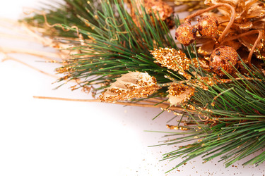 Similar image 5566202