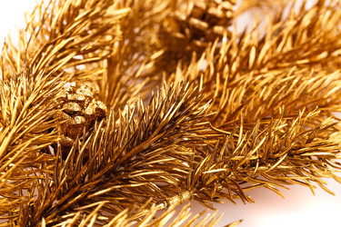 Similar image 5566203