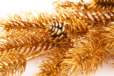 Similar image 5566204