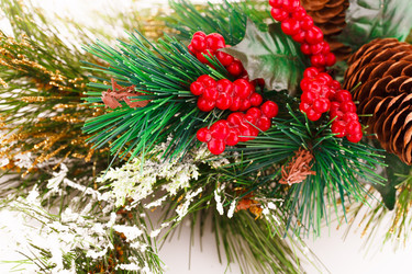 Similar image 5566208