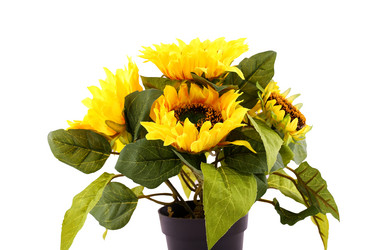 Similar image 5566214