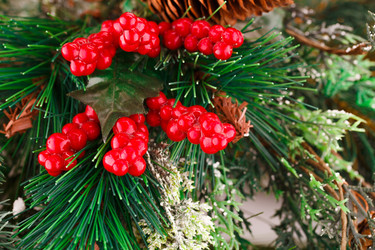 Similar image 5566220