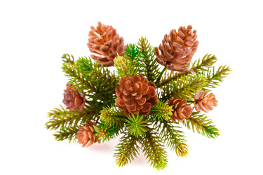 Similar image 5566221