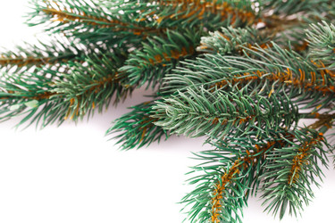 Similar image 5566223