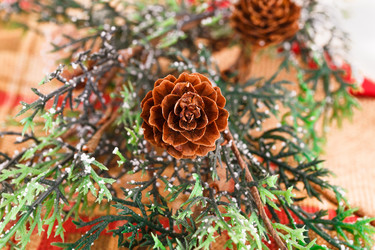 Similar image 5566225