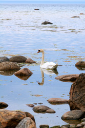 Similar image 5566326