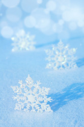 Similar image 5566334