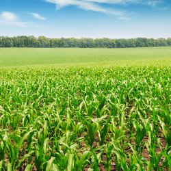 Similar image 5566357