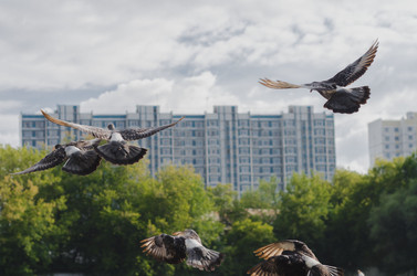 Similar image 5566377