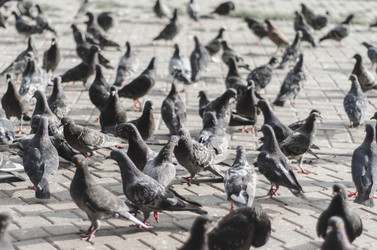 Similar image 5566380