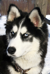 Similar image 5566385