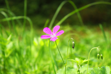 Similar image 5566407