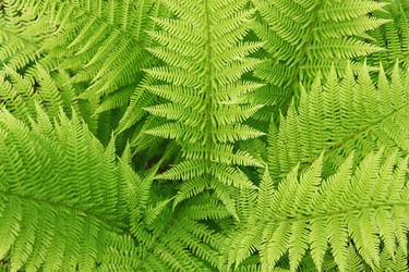 Similar image 5566408