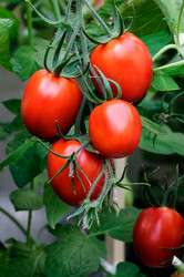 Similar image 5566477