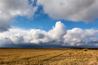 Similar image 5566479