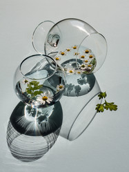 Similar image 5566488