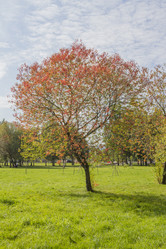 Similar image 5566491