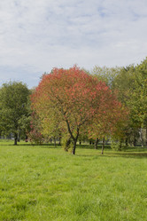 Similar image 5566492