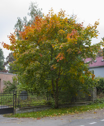 Similar image 5566495