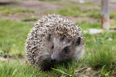 Similar image 5566508