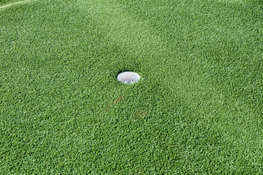 Similar image 5566510