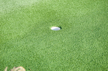 Similar image 5566533