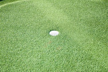 Similar image 5566548