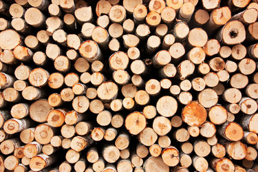 Similar image 5566566