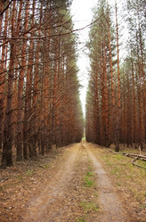 Similar image 5566567