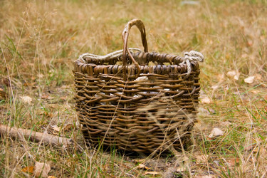 Similar image 5566572