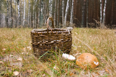 Similar image 5566573