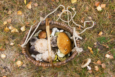 Similar image 5566574