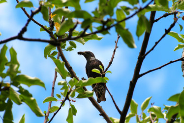 Similar image 5566577