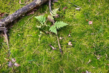 Similar image 5566578