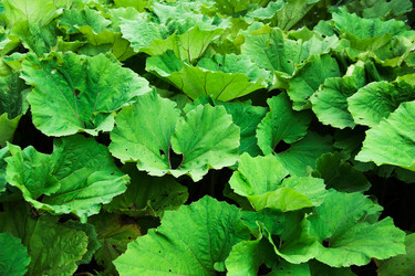 Similar image 5566579