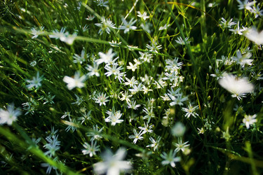 Similar image 5566580