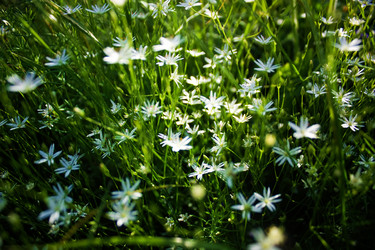 Similar image 5566581