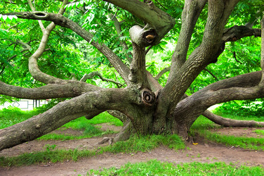 Similar image 5566586