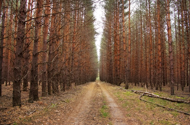 Similar image 5566587