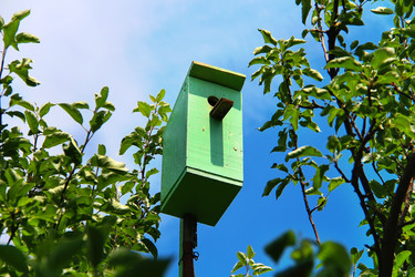 Similar image 5566588