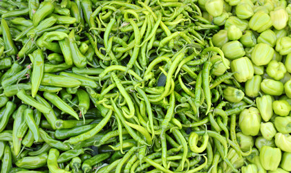 Similar image 5566608